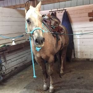 Meet your Posher, Mia